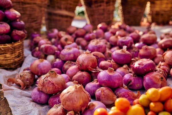 Top 10 fromages suisses et français à savourer absolument !